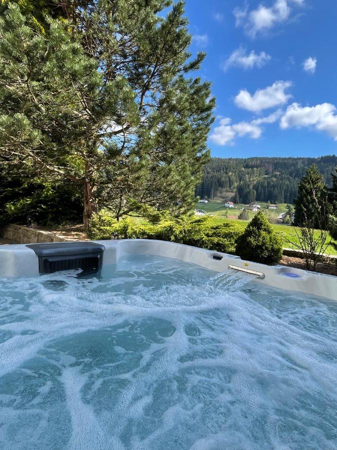 La Charbonniere, Grand Gite Haut-De-Gamme Avec Jacuzzi Et Sauna Villa Gérardmer Eksteriør billede